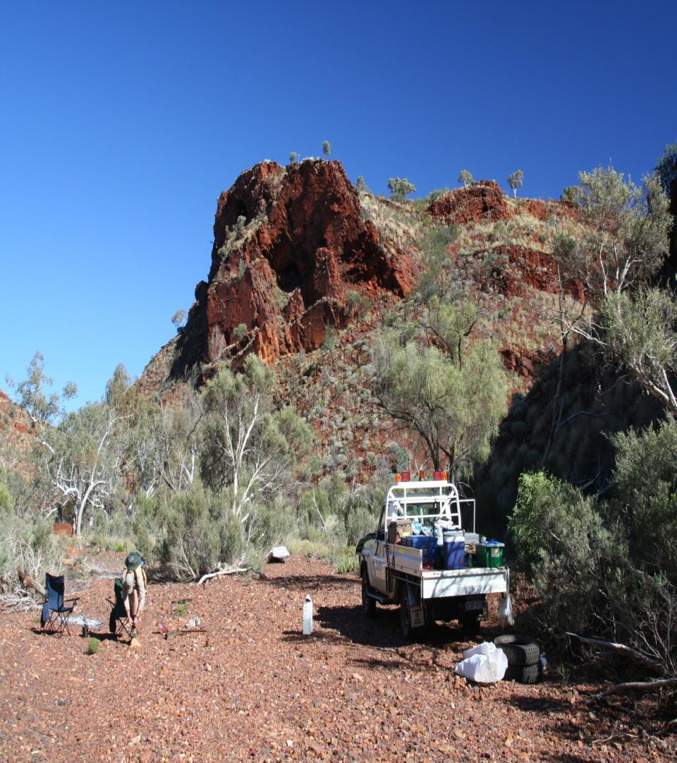 Iron Ore Gold Base Metals IRON ORE PROJECTS: West Pilbara (MDS 100%) Maiden CID Resource established and Scoping Study completed by Evans & Peck. Objective is to expand the resource base.
