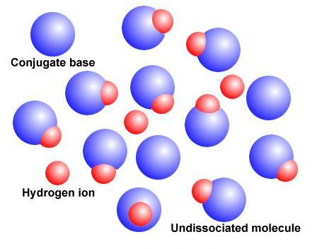 Transfer of hydrogen ions in conjugate pairs When a base accepts a proton, it becomes an acid because it now has a proton that it can donate.
