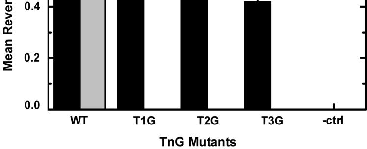 Figure 10. Mean reversal frequencies of cells expressing the TnG mutant receptors. Reversal frequencies were recorded for each strain.