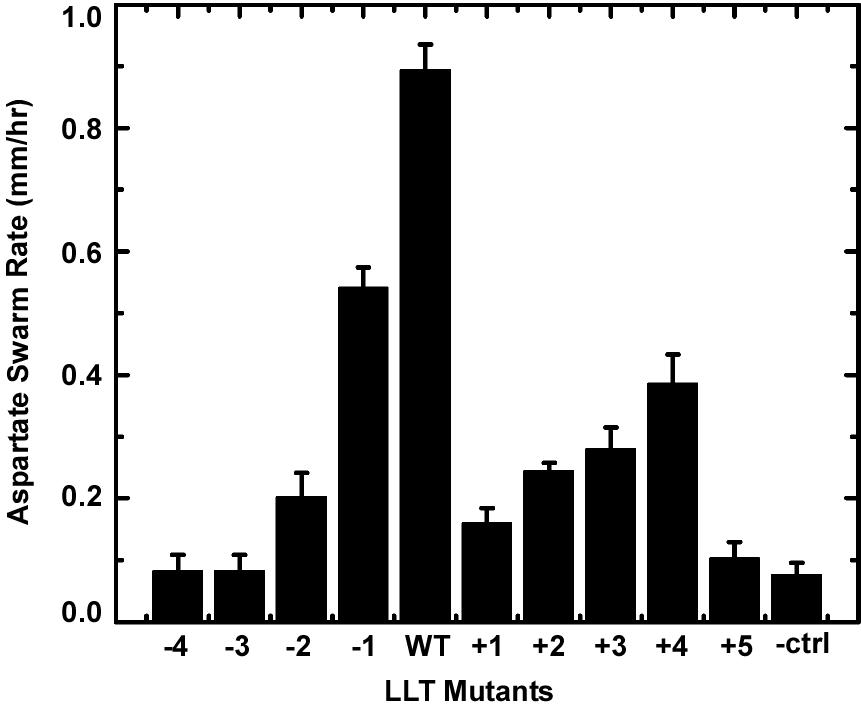 Figure 19. The aspartate chemotaxis-ring expansion rates of cells expressing the LLT mutant receptors.