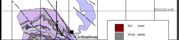 REGIONAL GEOLOGY Girilambone Group Ordivician in age Thick Turbidite