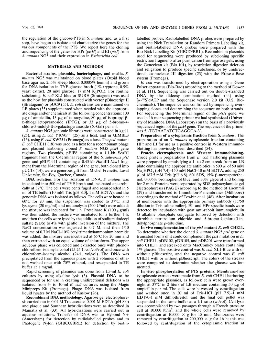 VOL. 62? 1994 SEQUENCE OF HPr AND ENZYME I GENES FROM S. MUTANS 1157 the regulation of the glucose-pts in S.