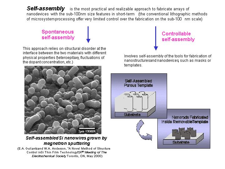 Self Assembly as a Foundry