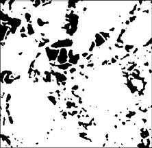 (b & c) 2D images of the cropped section from the image in (a); simulations were performed on the 3D cropped section (the dark areas are the pore spaces and the white represent grains).