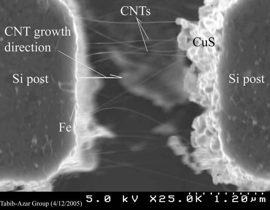 Carbon Nanotube Growth Process: SEM image Carbon nanotubes (CNTs) grown using a metal-catalyzed (iron) chemical vapor deposition technique using C2H2