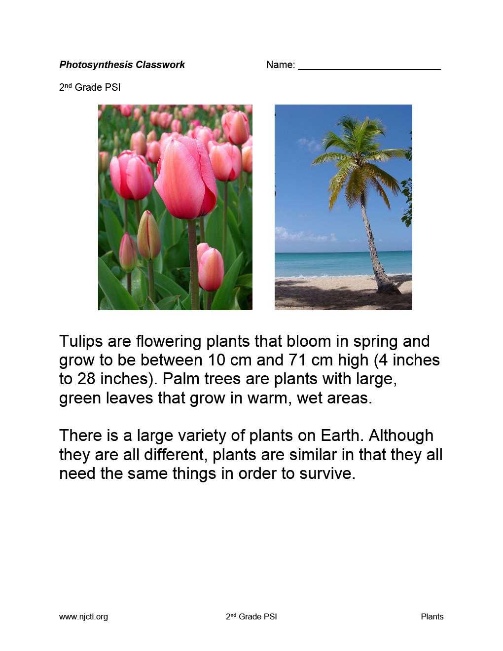 9 Where do plants get the water used in photosynthesis? Slide 37 / 106 A The stem absorbs it from the soil.