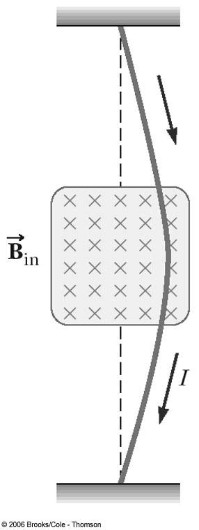 Magnetic Force on a Current Carrying