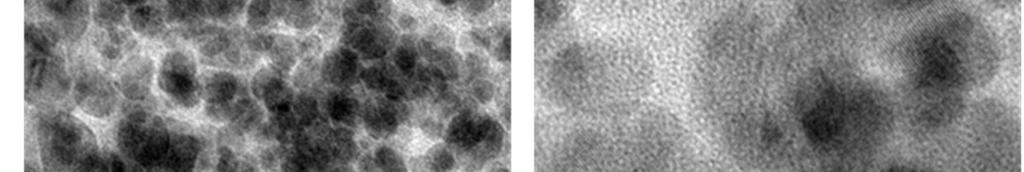 Similarly (C) & (D) shows the TEM images