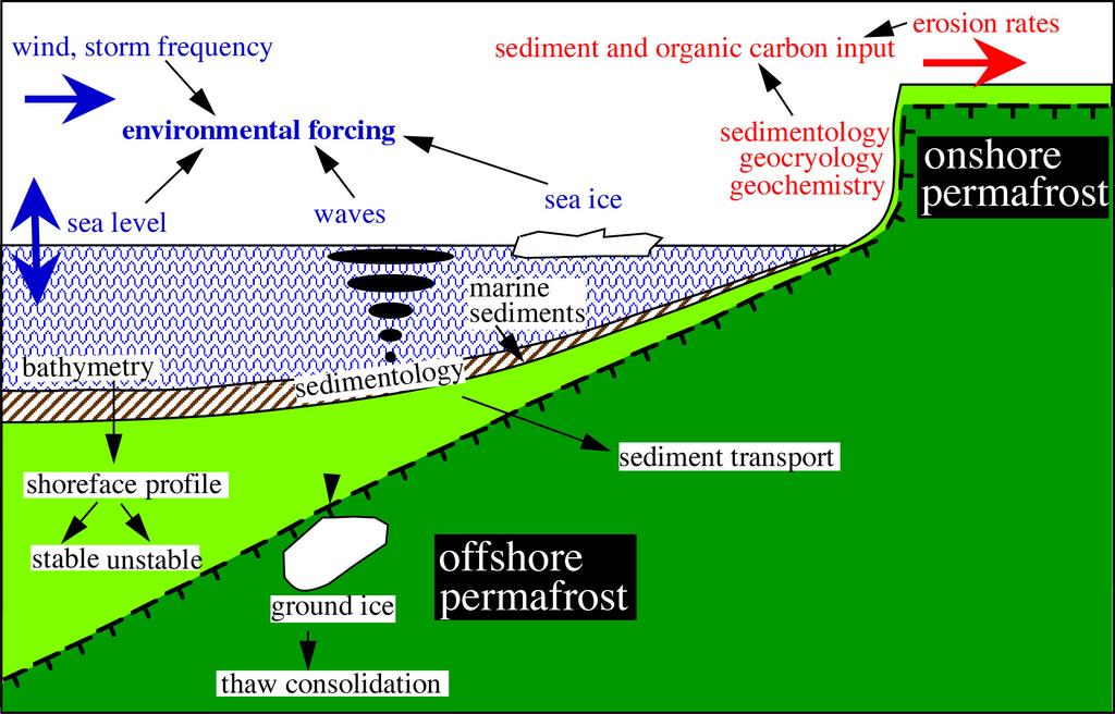 Coastal Dynamics as a Function of Environmental Forcing