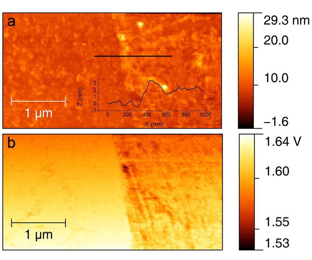 Supplementary Figure S11. AFM imaging of h-bn coated graphene. (a) Height imaging. Left region is pure graphene. Right part is h-bn coated graphene.