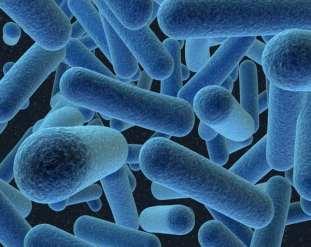 Evidence of natural selection Antibiotic-resistant bacteria Mutations within bacteria are constant With the increase