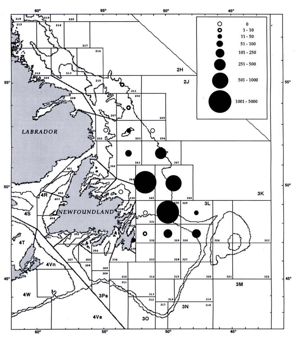 STENSON and KAVANAGH: Distribution of Seals in Offshore Waters of Newfoundland 131 Fig. 7.