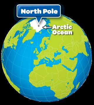 Percent Change SEA ICE SHRINKS & GROWS In Go With the Floe on page 4, you practiced calculating percent change to determine the extent by which sea ice is changing in the Antarctic and
