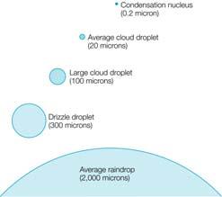 Condensation Process Clouds, fog Precipitation
