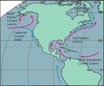 Ocean currents influence