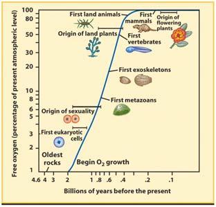 living organisms led to our present