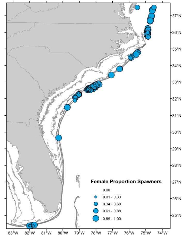Stock Structure Possible mechanisms for gene flow Proportion of female Blueline Tilefish spawning (n spawners/n mature females) by sampling location Stock ID Workgroup Report Figure 4 Data