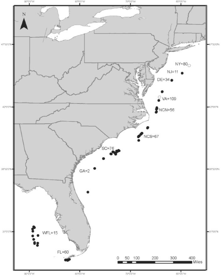 Stock Structure Blueline Tilefish genetics sample collection locations and sample sizes Stock ID Workgroup Report Figure 2