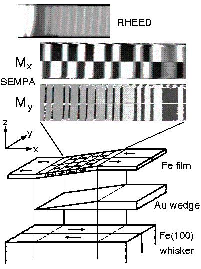 EXCHANGE COUPLING IN MAGNETIC MULTILAYERS GROWN ON IRON WHISKERS (INVITED) J. Unguris, R. J. Celotta, D. A. Tu
