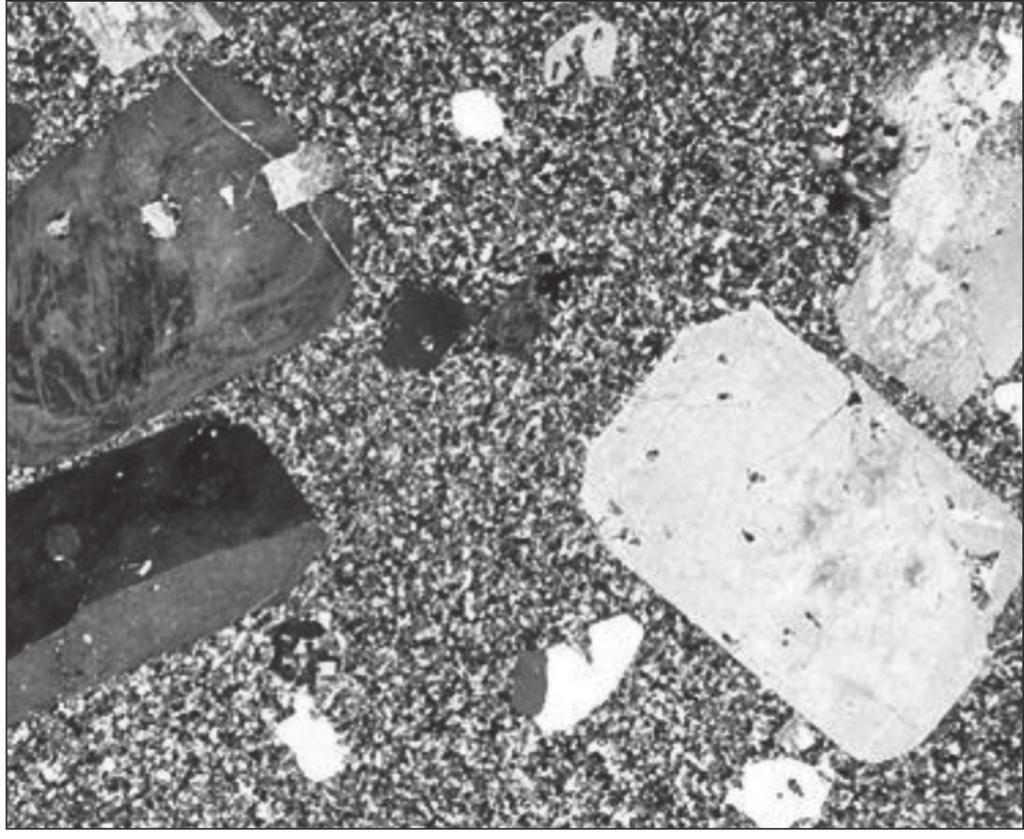 23 Figure 13 is a microscope view of a rock collected from the igneous intrusion in Figure 12. 0 mm 5 Figure 13 9.