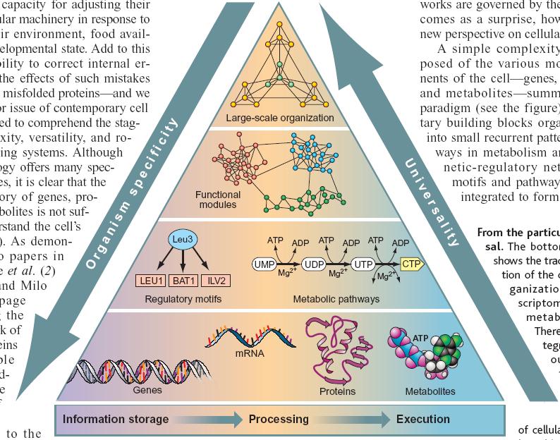 Modules nested in a hierarchical architecture In turn they represent the bio-bricks of functional modules (functionally distinct & autonomous sets) Genes, RNA, proteins and