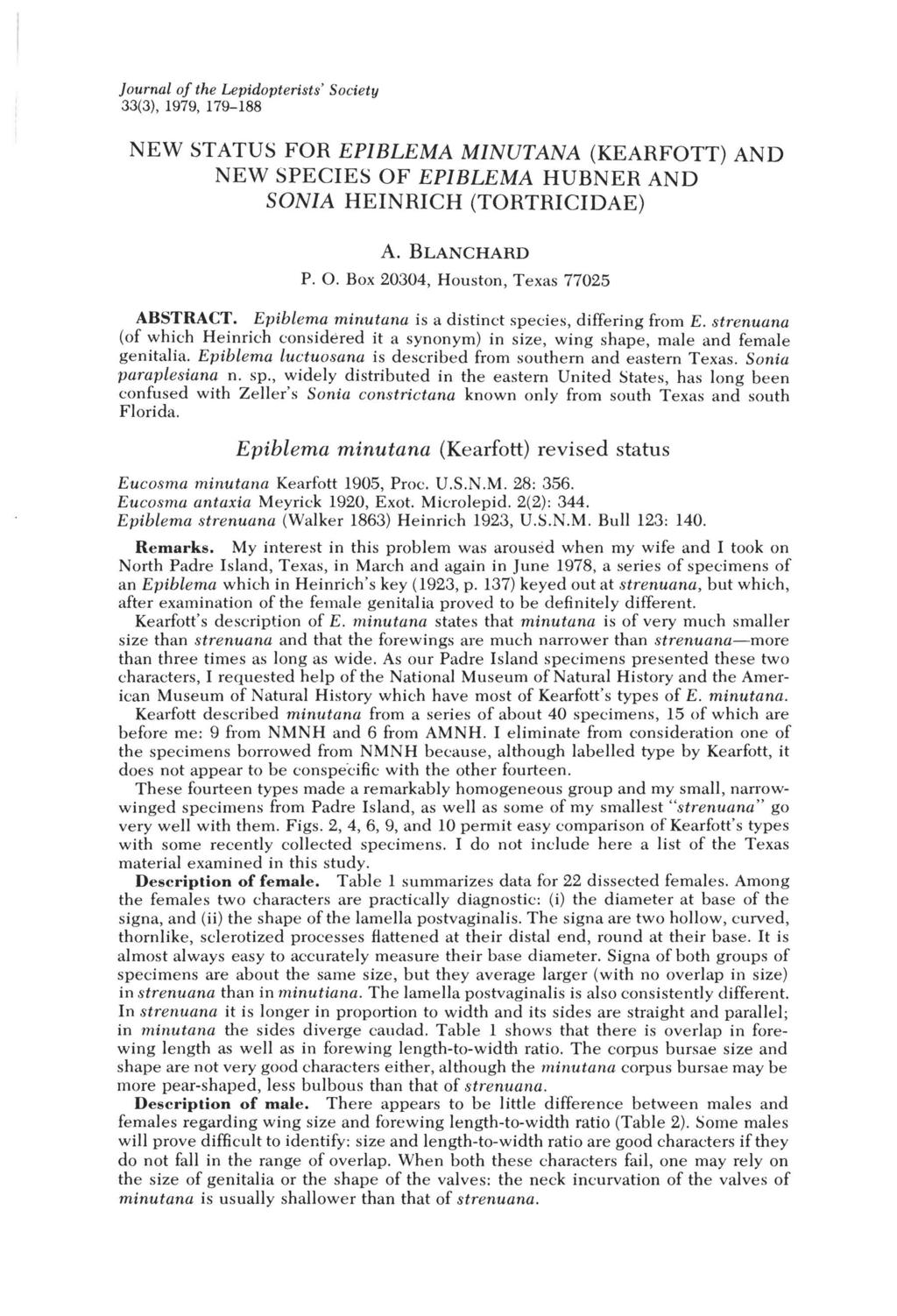 Journal of the Lepidopterists' Society 33(3), 1979, 179-188 NEW STATUS FOR EPIBLEMA MINUTANA (KEARFOTT) AND NEW SPECIES OF EPIBLEMA HUBNER AND SONIA HEINRICH (TORTRICIDAE) A.