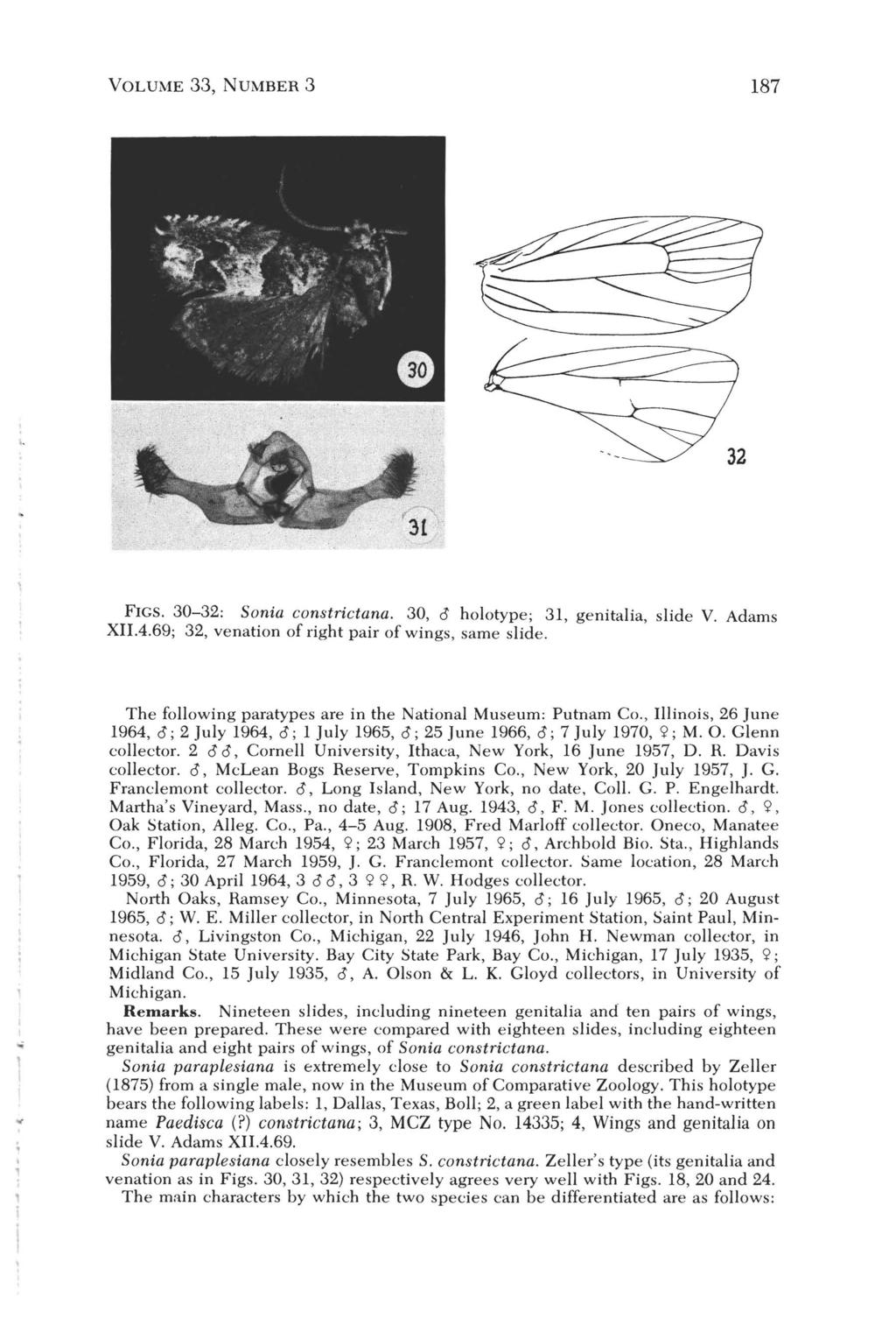 VOLUME 33, NUMBER 3 187 FIGS. 30-32: Sonia constrictana. 30, 0 holotype; 31, genitalia, slide V. Adams XII.4.69; 32, venation of right pair of wings, same slide.