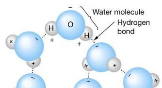 Polar molecule