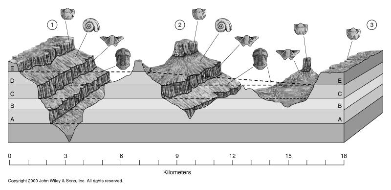Correlating beds using index fossils Stratigraphic Classification: Piles of stratified rocks need to be