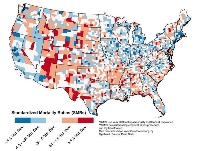 Mapping Minority Health Disparities Small scale maps obscure the local patterns of disparities Large