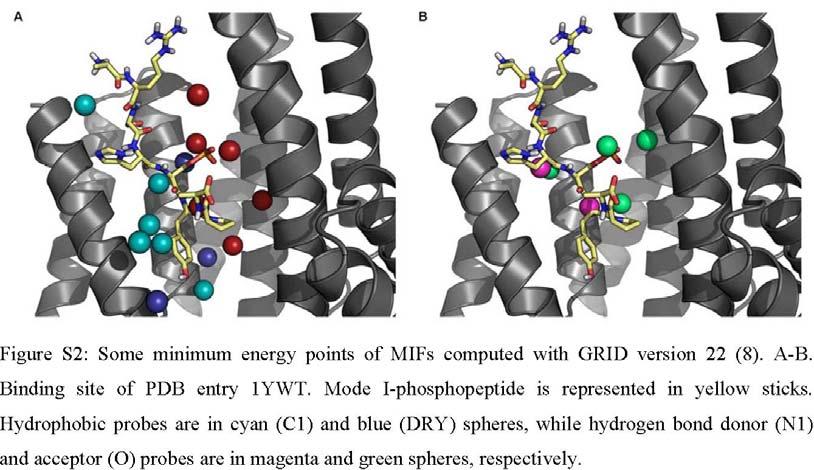 Wilker EW, Grant RA, Artim SC, Yaffe MB (2005) J Biol Chem 280: 18891 18898. Biomolecular section.