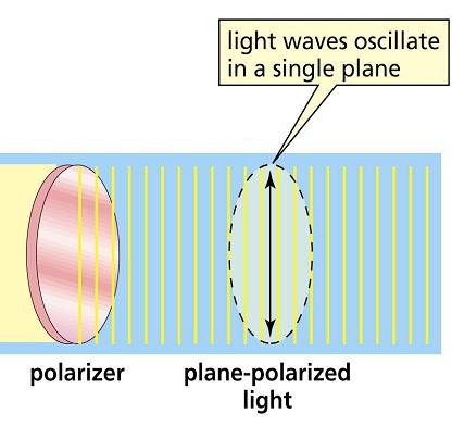 Unpolarized light can be represented as an electric field that