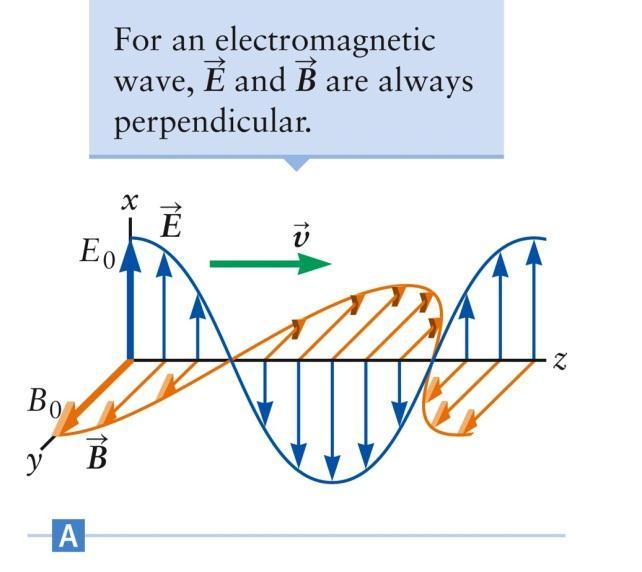 EM Waves are Transverse Waves Imagine a snapsht f the electrmagnetic (em) wave The