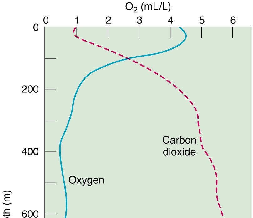 Distribution of CO 2 and O 2 Photosynthesis: CO 2 + H 2 O CH 2 O + O 2