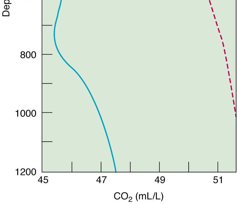 Respiration CH 2 O + O 2 CO 2 + H 2 O increases dissolved CO 2 and