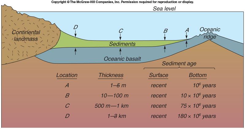 Sediment accumulation on the seafloor varies with: -the type of ocean productivity above that part of the seafloor, -the depth