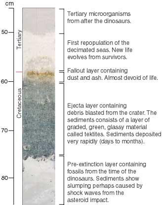 An interesting bit of history from ~40 cm of sediment near the Gulf of Mexico.