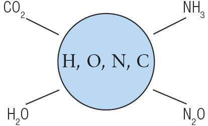 down into elements Compounds are made by combining atoms of