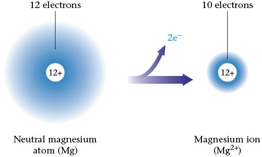 IONS Atoms can form ions by gaining or losing electrons.