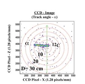 New experimental approach: Time reversed reaction 16 O ( γ, α ) 12 C Optical Time Projection Chamber