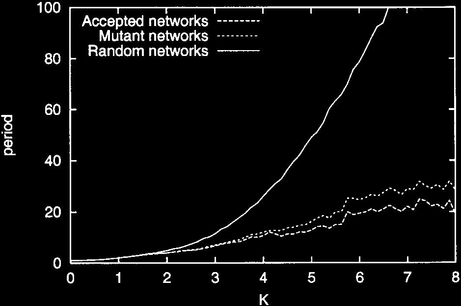 2 Average Length of Expression Patterns (Periodic Attractors) for Evolved and for Random Networks.