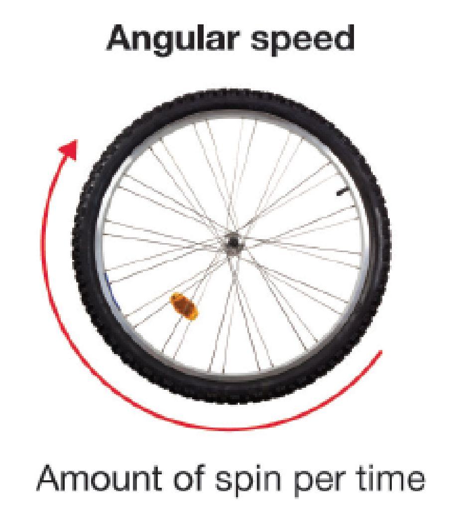 Motion in Circles Angular speed is the rate at which an object rotates or revolves.