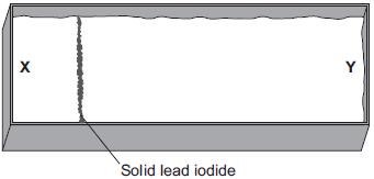 The students added a crystal of lead nitrate at position X and a crystal of potassium iodide at position Y, as shown in Figure 2.