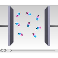 Molecular Polarity: Polarity To play movie you must be in Slide Show Mode PC