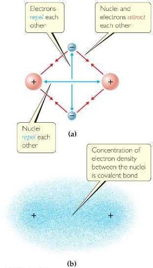Covalent Bond In covalent bonds, atoms share electrons Electrostatic interactions in these bonds: attractions between electrons and nuclei