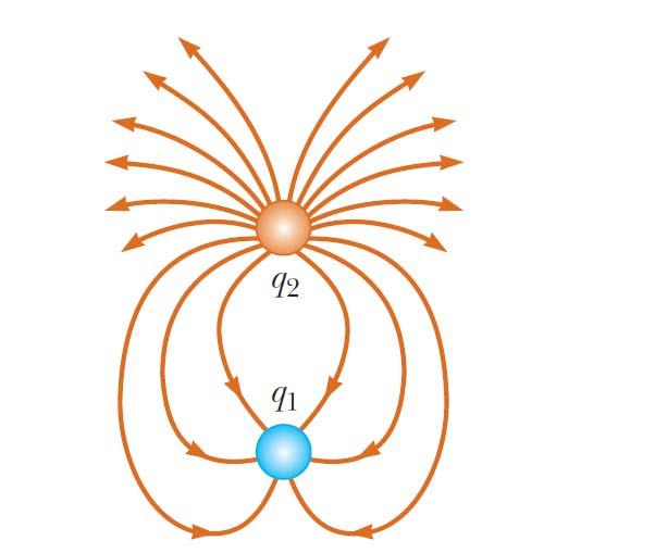 The figure below shows the electric field lines for two charged particles separated by a small distance. What are the signs of q1, q2 charges, and the ratio?