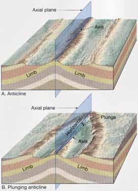 Folds Common types of folds Anticline upfolded or arched rock layers Syncline downfolds or troughs of rock layers Depending on their orientation,