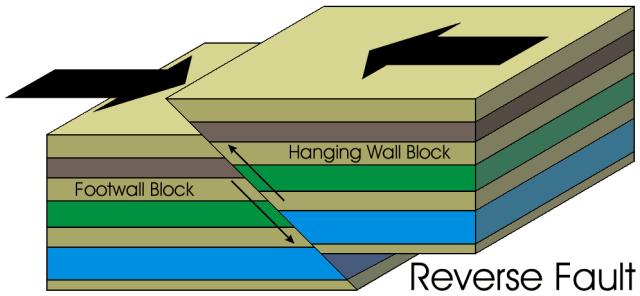 Reverse Fault Hanging wall moves up relative to footwall. Caused by compressive stress.