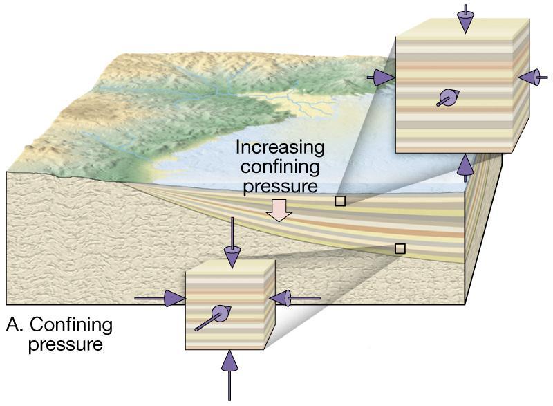 ROCK DEFORMATION Tectonic forces exert different types of stress on rocks in different geologic environments.