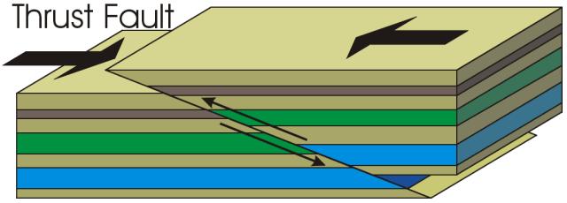 Thrust Fault A thrust fault is a special type of reverse fault
